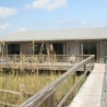 High Dune